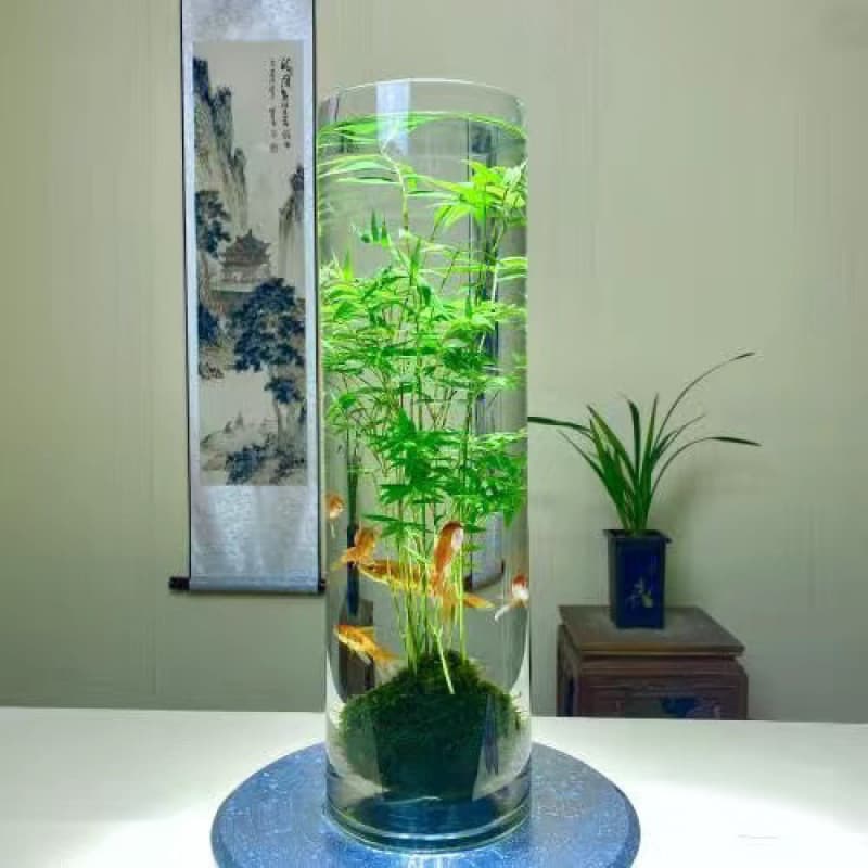 Jade Guanyin Bamboo Moss Balls, Hydroponic Version, Suitable for Cultivating Landscape Bonsai, Green Plants, Flowers, and Hydroponic Plants.