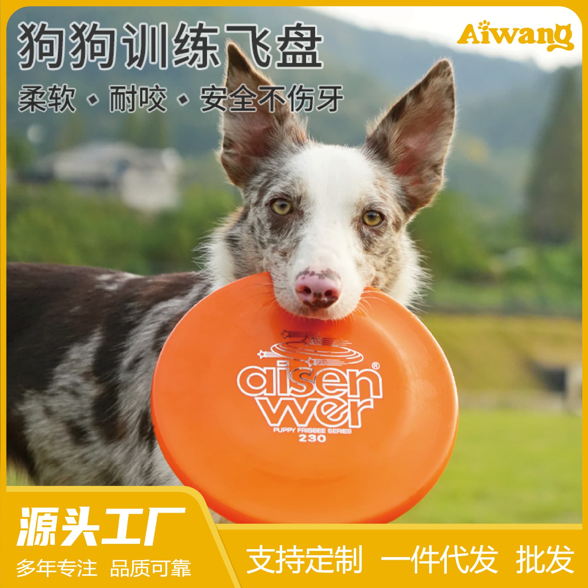 Durable Flying Disc Dog Toy Competition Standard TPR Soft Disc Pet Interactive Chew Toy