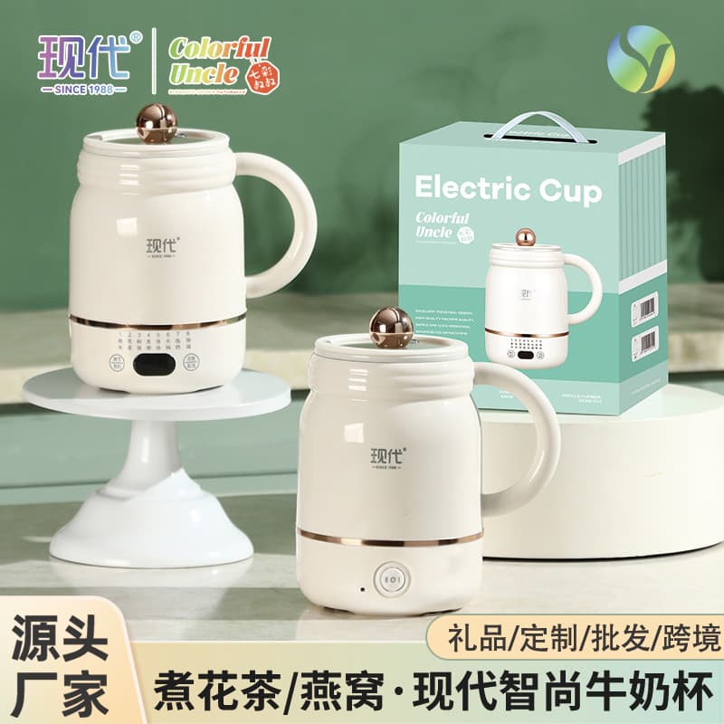 Household Stewing and Boiling Integrated Electric Cup Travel Portable Heating Office Milk Warmer Multifunctional Non-stick Electric Thermos