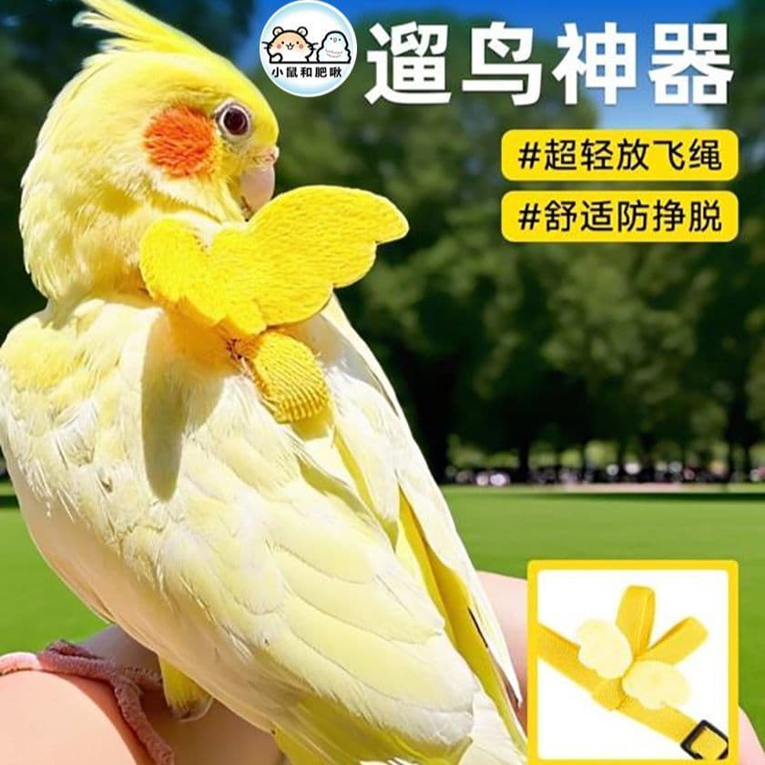 Parrot Flying Harness for Cockatiels, Budgerigars, and Lovebirds; Bird Walking Harness; Full Network Distribution