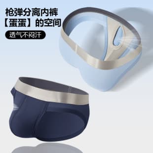 Separate Pouch Men's Triangle Briefs Summer Ice Silk Breathable Ultra-Thin Sexy Low-Rise Youth Triangle Underwear
