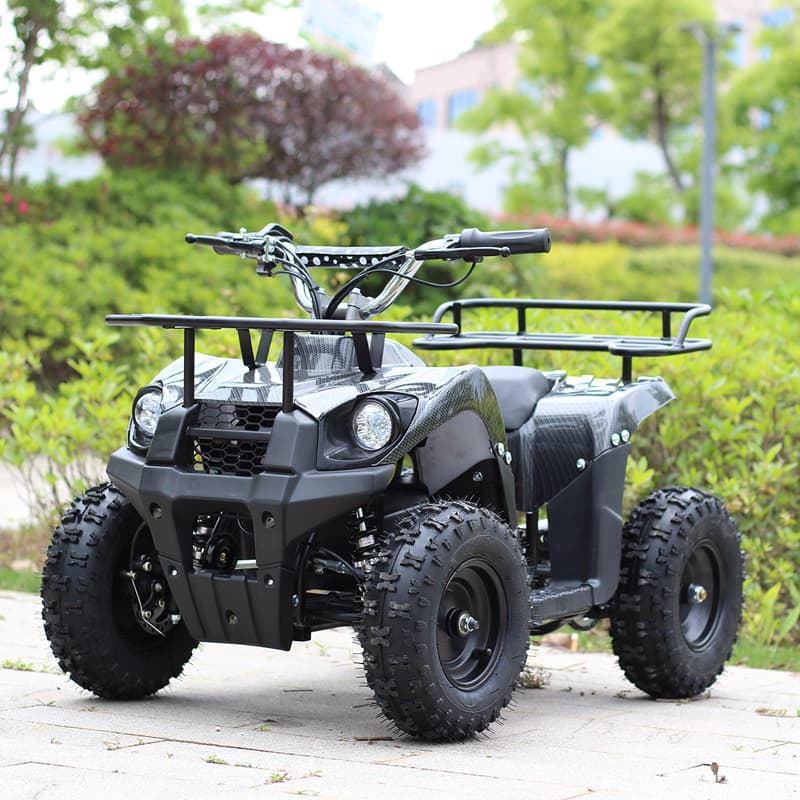 Factory Direct ATV Kids Electric Beach Car 36V 800W All Terrain Vehicle Leisure Car Four Wheel Off-Road Motorcycle