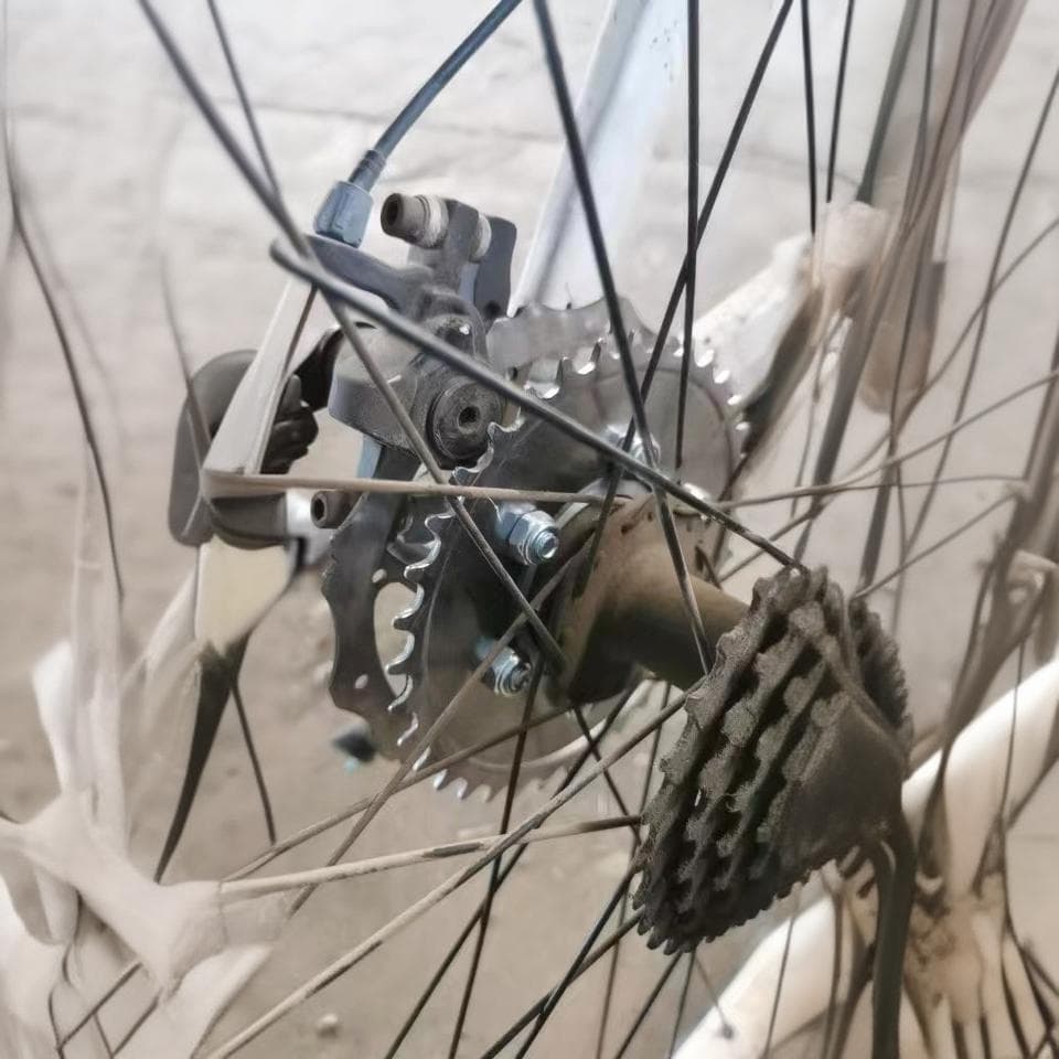 Disc Brake Conversion Dual Disc Kit