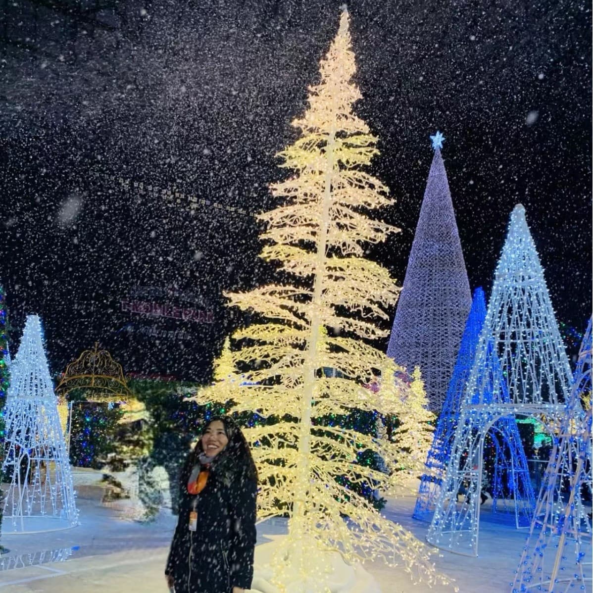 Light Source Factory Custom Simulation Christmas Large Tree Shape Art Installation Outdoor Decorative Luminous Ambience Lighting Electronic