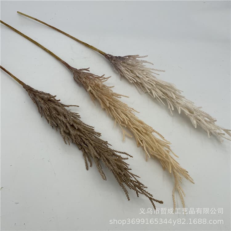 Nordic-style Dried Large Reed Grass Floor-standing Foxtail Millet Rice Window Display Single Stem Wheat Ear