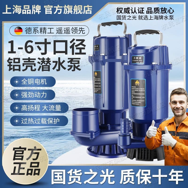 Shanghai National Standard Submersible Pump 220V Clean Water Pump Agricultural Irrigation Pump Household High Flow High Lift Water Pump