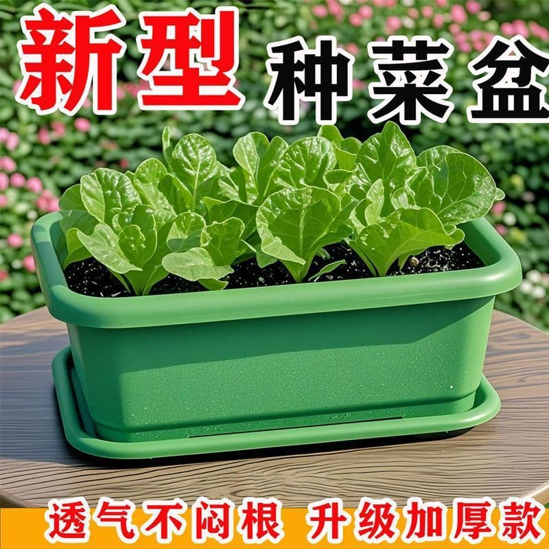 Durable Vegetable Planter Box for Balcony Gardening, Rectangular Plastic Flower Pot with Tray, Vegetable Growing Container, Direct from Factory