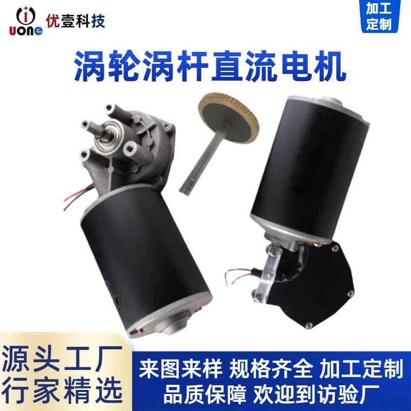 12V DC Motor for BBQ Equipment, Fitness Equipment Motor, Worm Gear Reduction Electric Motor