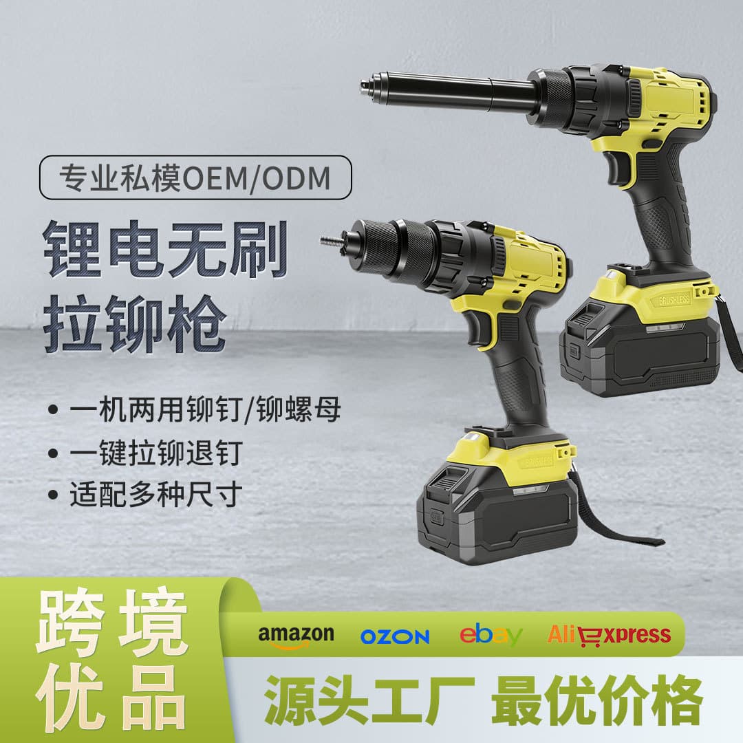 Electric Rivet Gun, Rivet Nut Gun, Automatic Rivet Gun, Cordless Drill, Lithium-Ion Rivet Gun, Power Tool Set