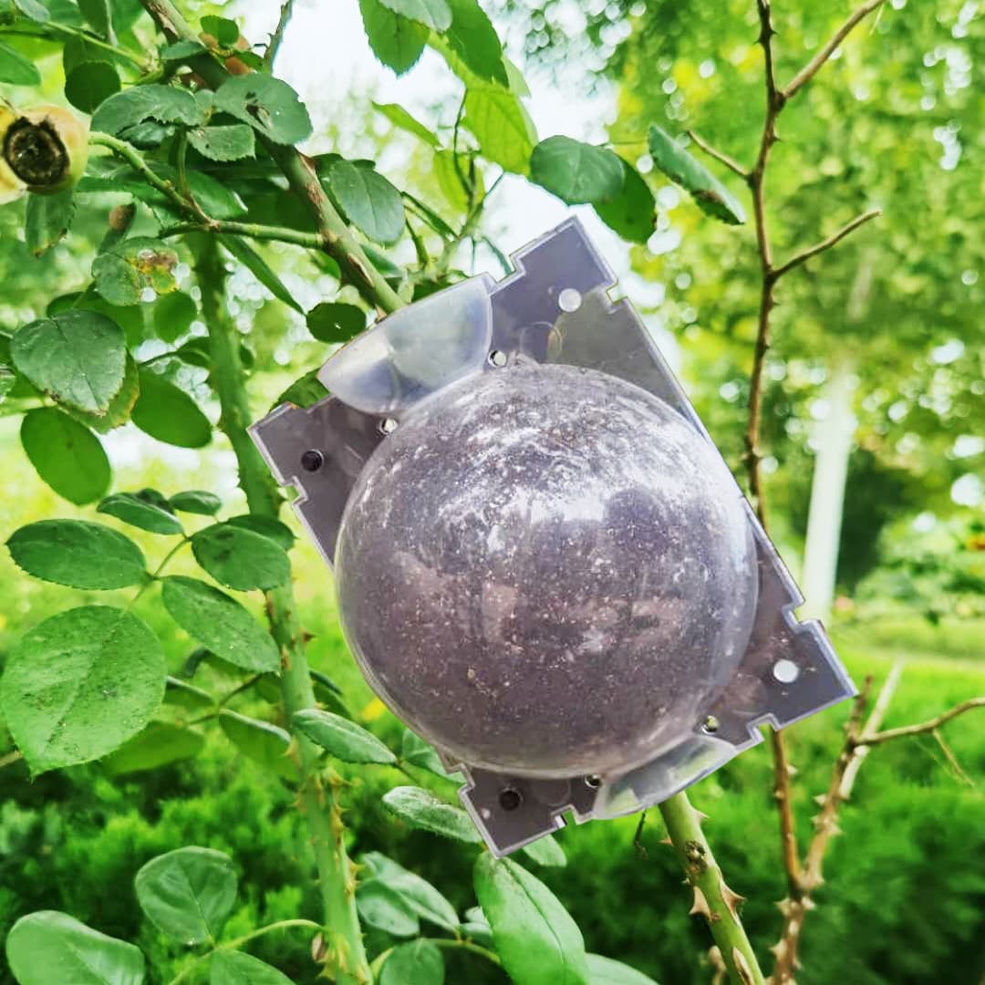 Plant Air Layering Pod, Propagation Box, Grafting Box, Rooting Ball, High-Pressure Branch Propagator for Garden Trees, Bonsai