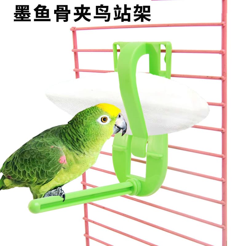 Parrot Vegetable and Fruit Clip, Cuttlefish Bone Holder, Cockatiel and Lovebird Supplies, Parrot Perch Stand, Bird Cage Accessories