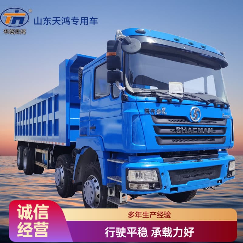 Source Manufacturer Export: Shaanxi Delong 8x4 Tipper F3000 HP Dump Truck, Earthmoving Tipper Truck Engineering