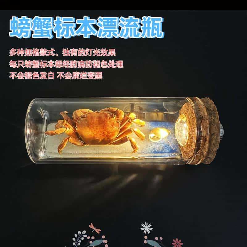 Real Crab Specimen Drift Bottle Wish Bottle Underwater World Night Light Travel Gift Souvenir 3D