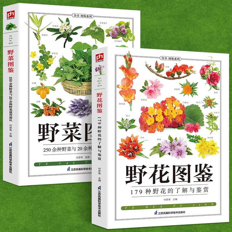 [Coated paper] Complete 2 volumes of wild vegetable illustrations + wildflower illustrations of common flowers and garden plants identification illustrations in the wild