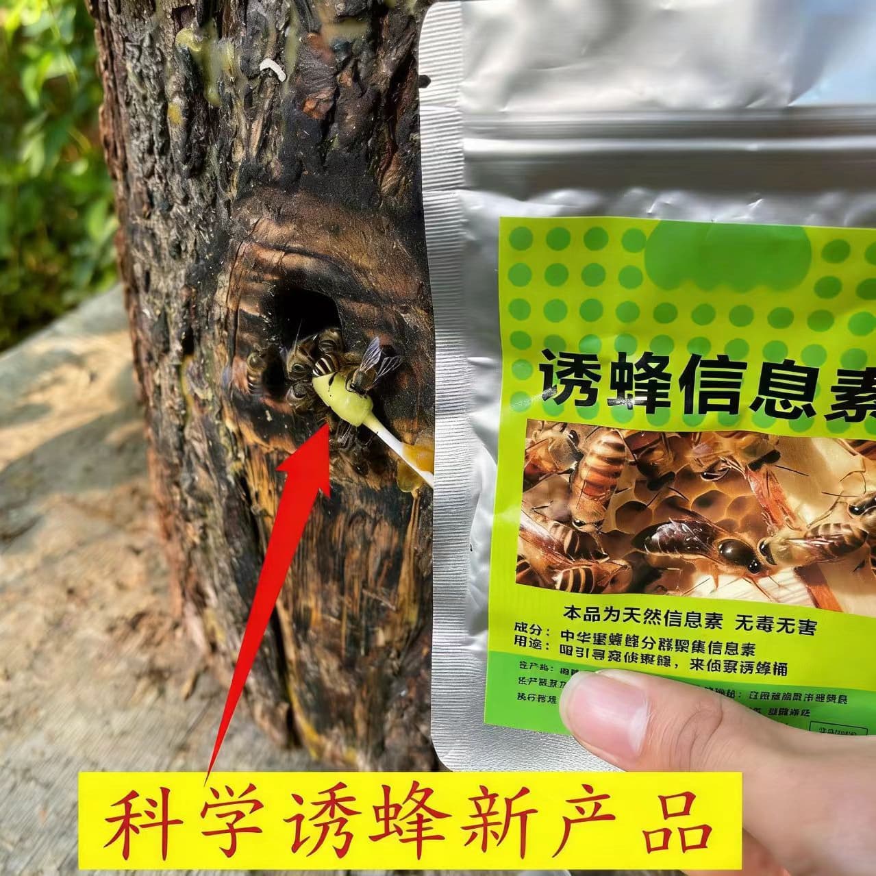 Bee Attractant Pheromone Large Lure Core Professional Scout Bee Attractant Liquid Large Cotton Swab Queen Pheromone Worker Bee Pheromone