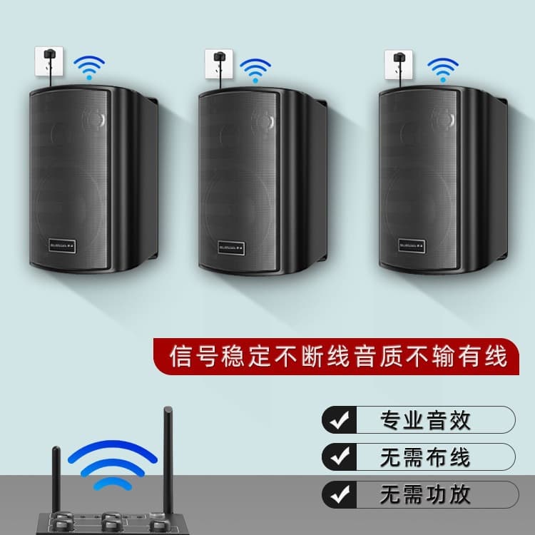 Free Shipping Wall-Mount Wireless Audio System for Shops, Dance Studios, Restaurants, Gyms, Conference Rooms Commercial Speaker Combo