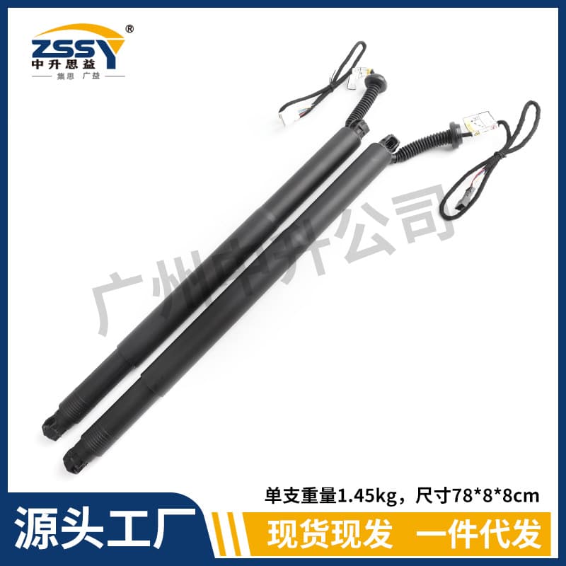 51247318651 51247318652 Compatible with BMW X6 F16 Car Trunk Electric Tailgate Strut