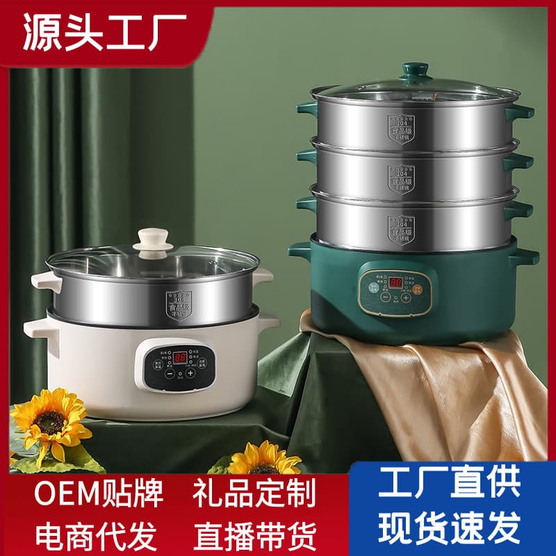 304 Electric Steamer, Multi-functional Home Use Auto Shut-off Multi-layer Large Capacity Electric Steamer for Buns and Boiling, Electric Heating Pot