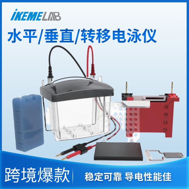Mini Electrophoresis System for WB, Vertical/Horizontal Protein Tanks, Transfer Tanks, Gel Casting, High-Current Power Supply