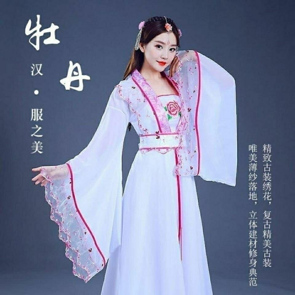 Women's Traditional Chinese Hanfu Dress Long Style Summer Improved Hanfu Element Fairy Chiffon Dress