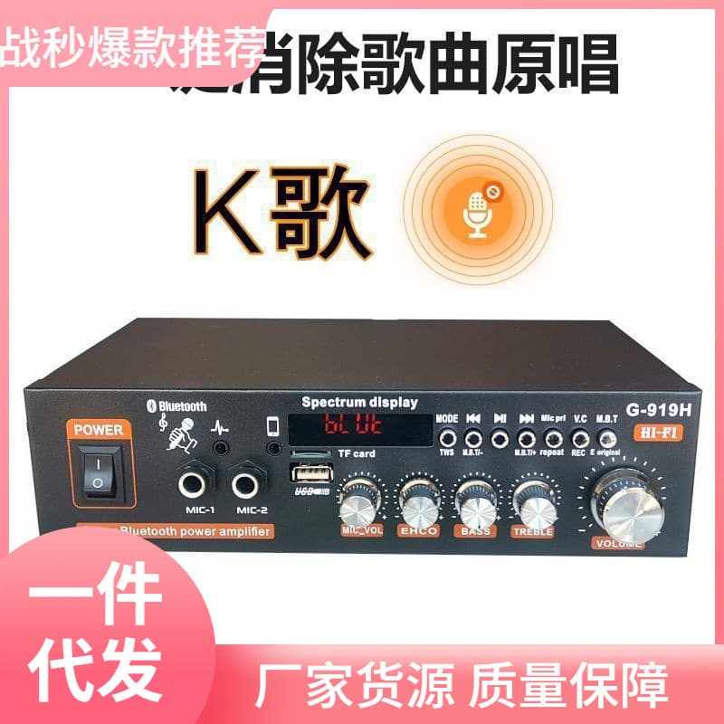 Audio Power Amplifier Bookshelf Speaker Amplifier Small Amplifier Home Car Dual Use Car Power Supply