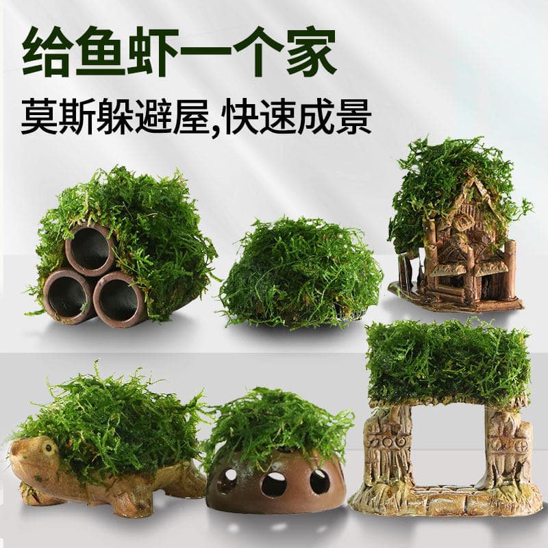 Aquarium Plant Landscaping Moss Plant Low-Maintenance Live Plant Fish and Shrimp Hiding Tank Shrimp House Small Ornament Small Fish Hiding House