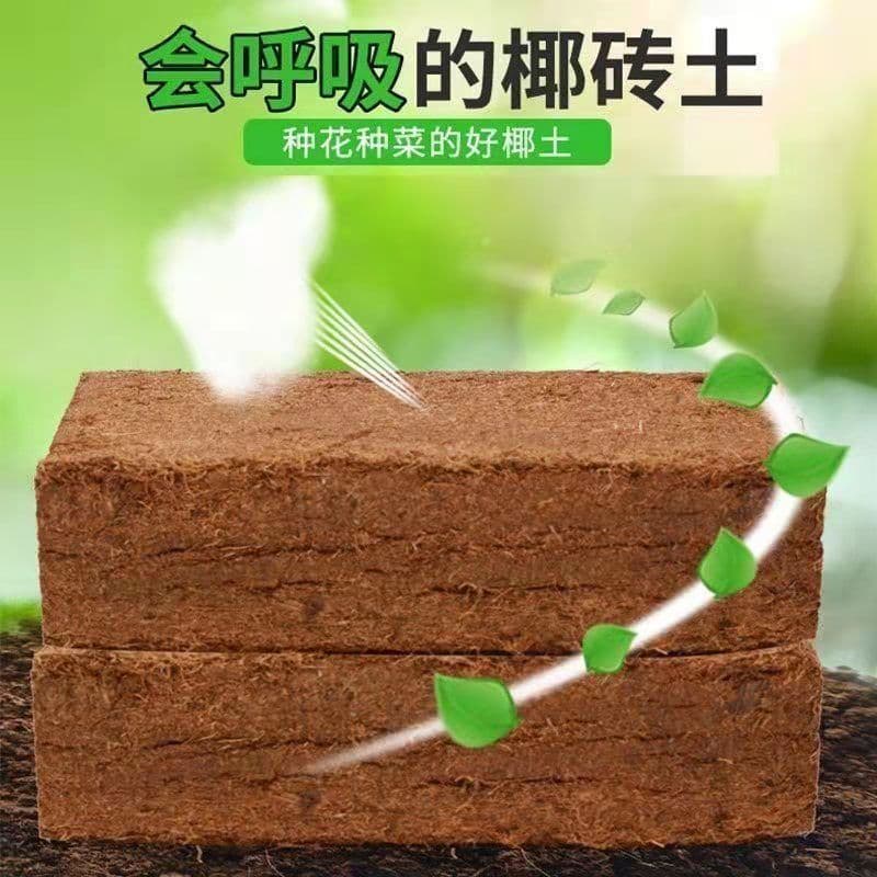 Coconut Brick Nutrient Soil Universal Type Coco Coir Coarse Coconut Husk for Flower Planting Vegetable Gardening Green Plants