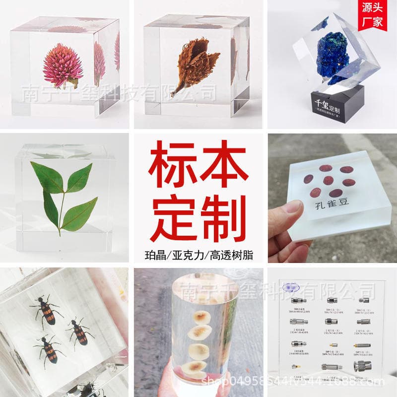 Custom Resin Specimens Acrylic Embedding Chinese Herbal Medicine Dried Flowers Seeds Minerals Insects Crystal Clear Decor