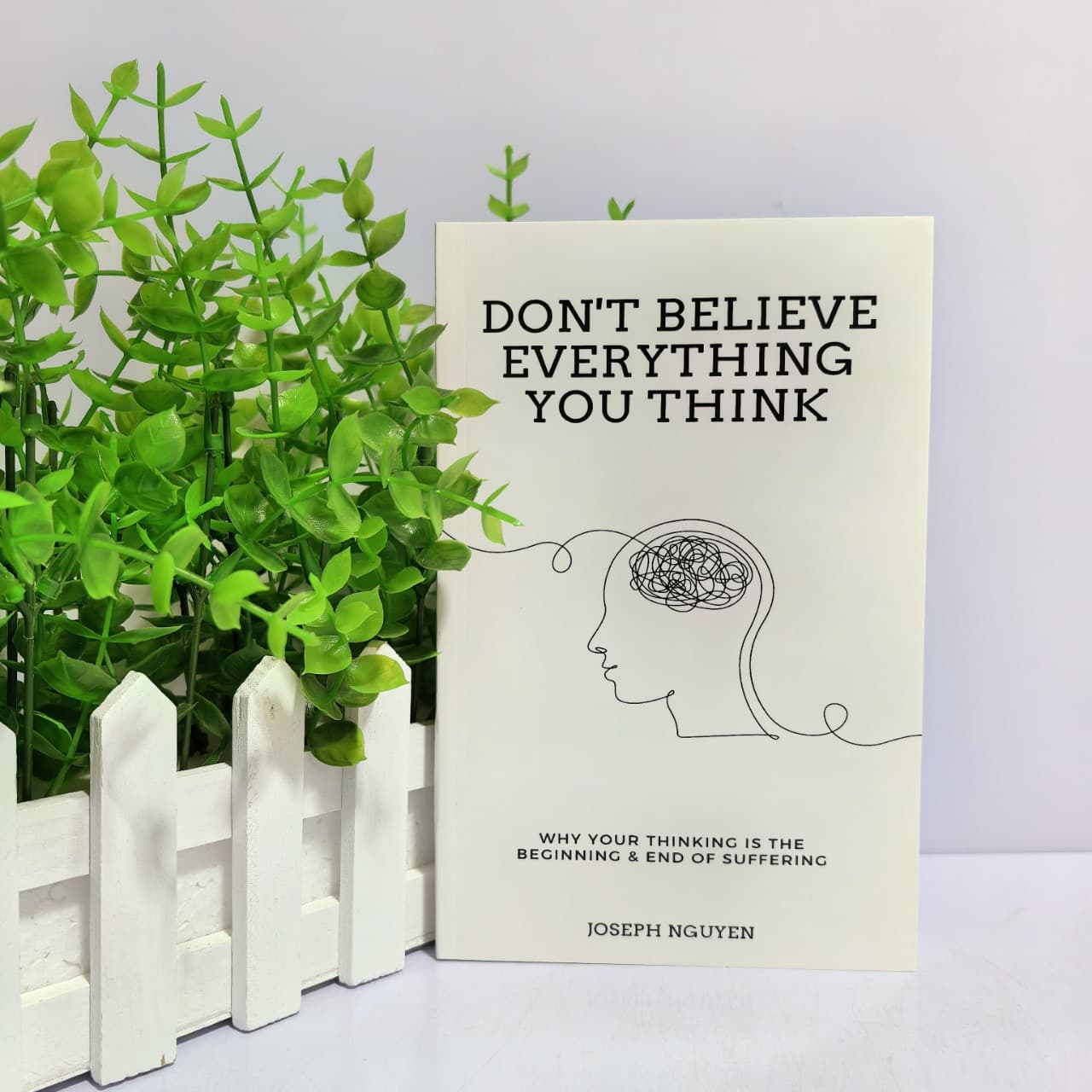 Don't Believe Everything You Think
