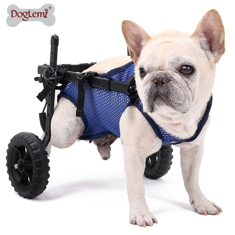 Factory Pet Disability Cart for Hind Leg Paralysis Elderly Pet Mobility Dog Rehabilitation Walking Aid Vehicle