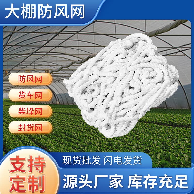 Nylon Protective Net, Large-hole Film Pressure Rope Net, Windbreak Greenhouse Net for Goods, Planting, and Breeding