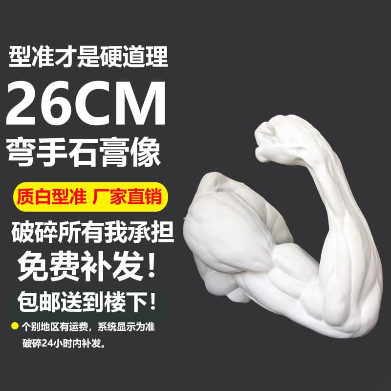 Bent hand plaster statue anatomy human body arm muscles muscle arm plaster statue teaching aids sculpture decorative plaster statue