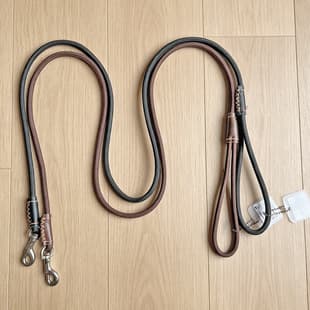 Pet Leash for Small, Medium, and Large Dogs - Nylon Dog Walking Rope for Teddy, Pomeranian, Schnauzer - Dog Leash Wristband