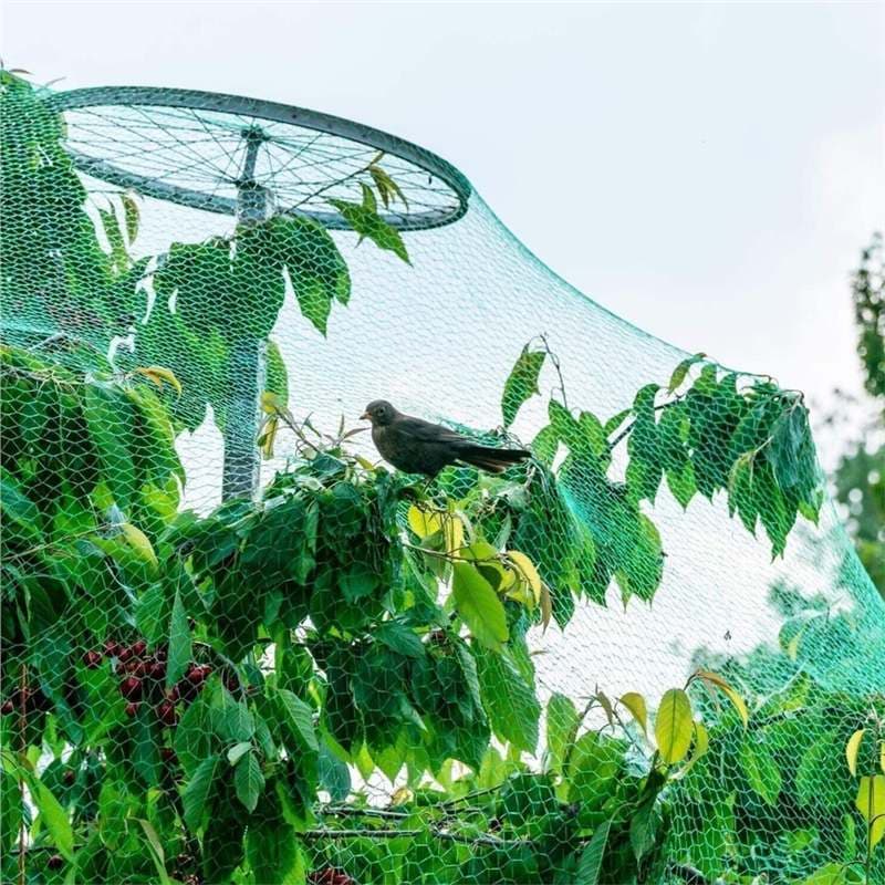 Green Bird Netting for Vegetables and Fruits, Insect Net, Grape Protection Net, Fish Pond Cover, Greenhouse Gardening Nylon Mesh