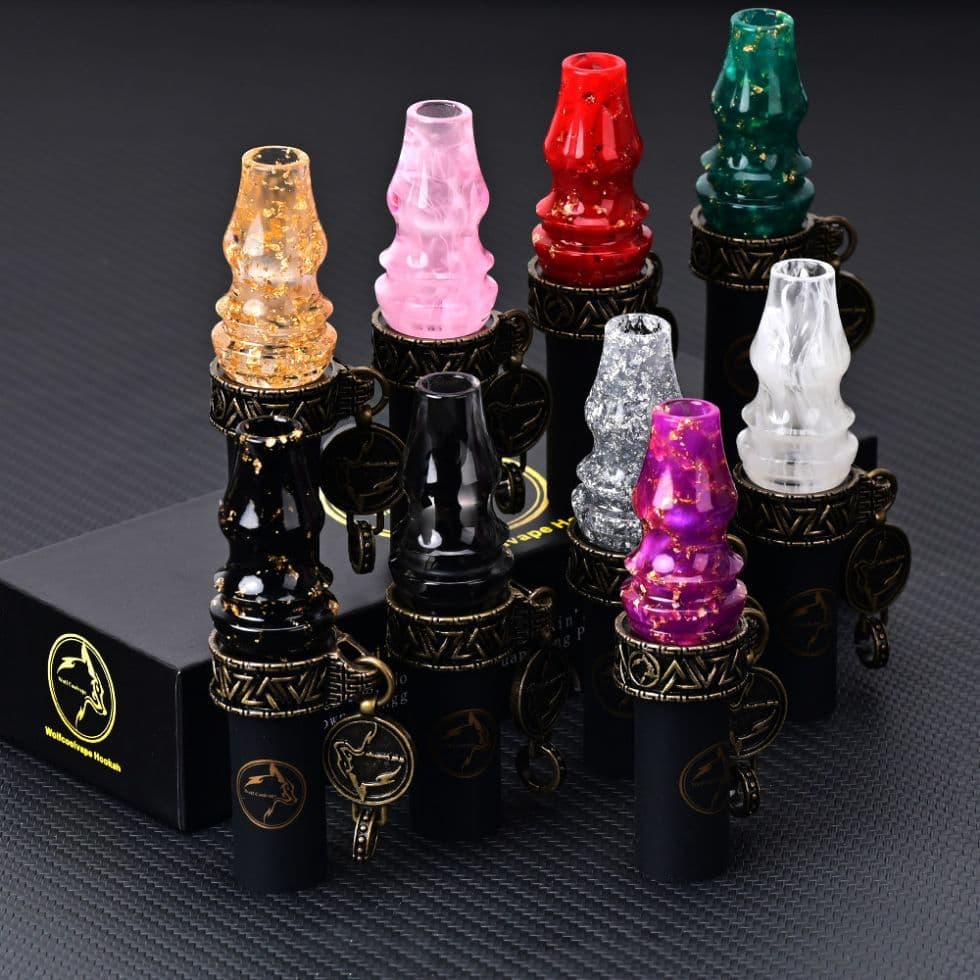 Hookah Accessories Handheld Mini Hookah Tips Resin Mouthpiece with Double Chain Combo Gift Set