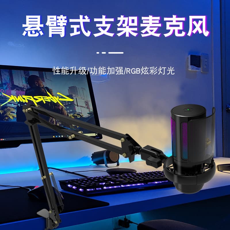 New USB Microphone with RGB Lighting Switch, One-Key Mute, Computer Recording, Gaming Condenser Microphone