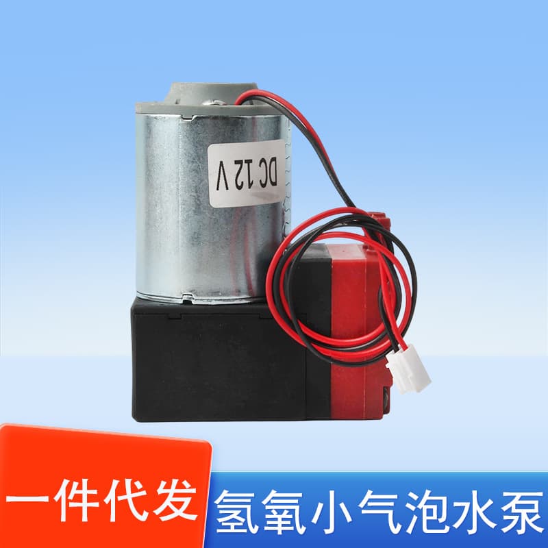 Factory Wholesale Micro Air Pump DC12V Beauty Device Air Pump Hydrogen Oxygen Bubble Water Pump Large Dual Pump 220V