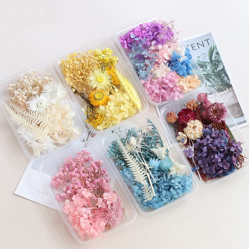 Mixed Eternal Flower DIY Material Kit Natural Air-Dried Candle Group Fan Picture Frame Decorative Dried Flower Material Box