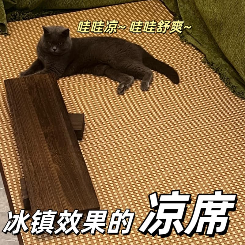 Japanese Rattan Woven Carpet for Living Room Bedroom Balcony, Tatami Mat Summer Bedside Crawling Cool Mat