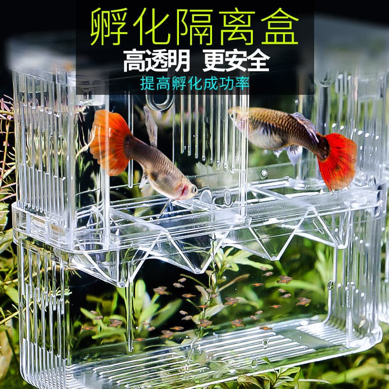 Guppy Breeding Box Fish Tank Fry Incubator Isolation Box Large Acrylic Fish Egg Hatchery