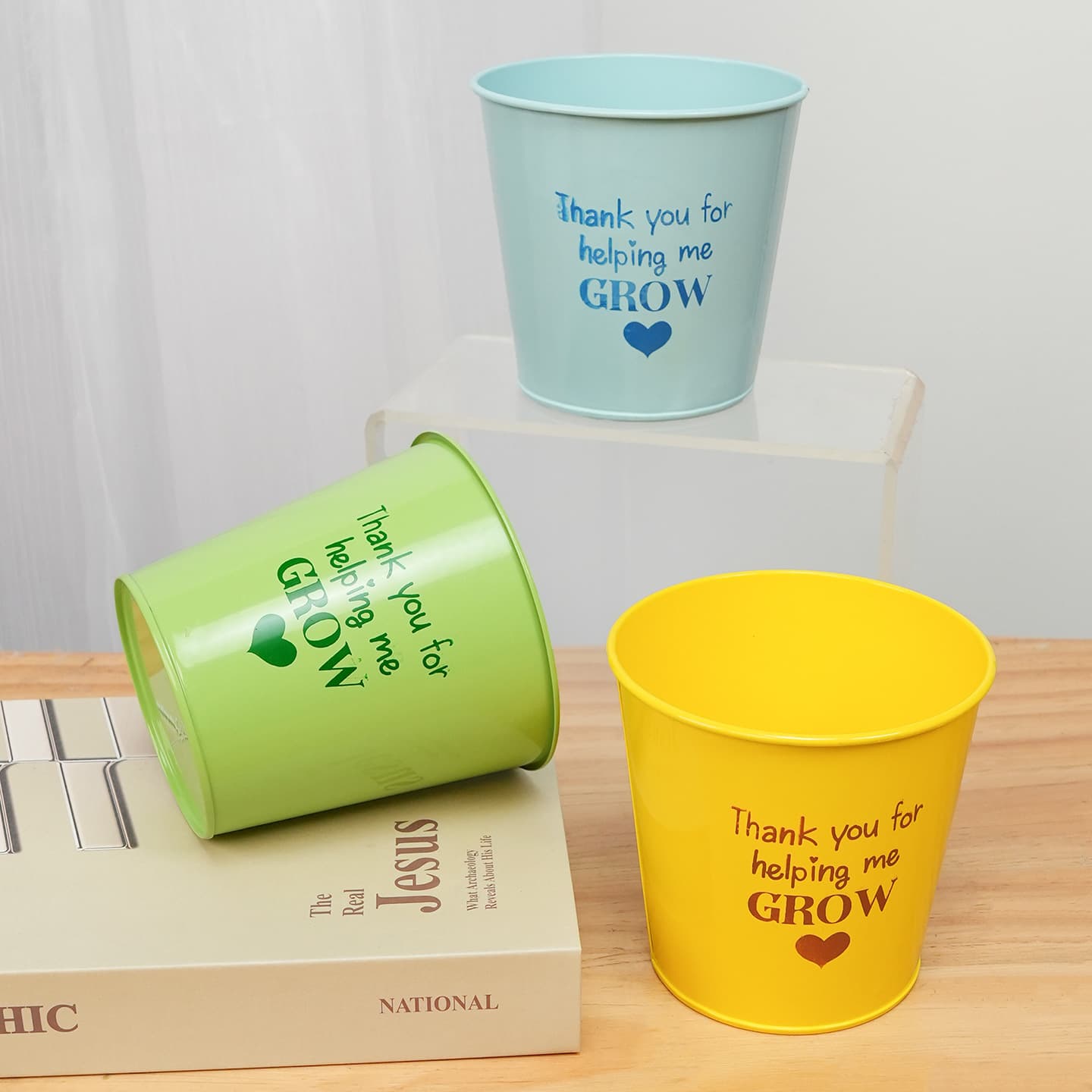 Teacher's Day 2026 New Style Iron Flower Pot Office Desk Ornament, Kindergarten Gift for Female Teacher, Floral Shop