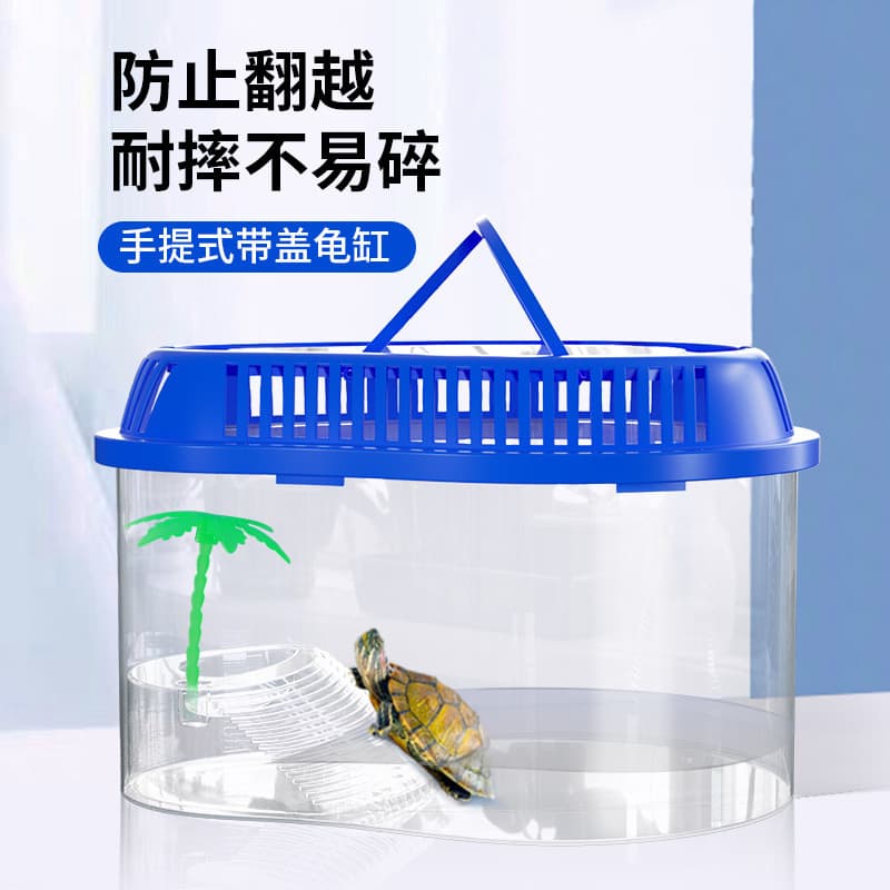 Pet turtle tank with basking platform, small plastic household container with lid for raising pet turtles.