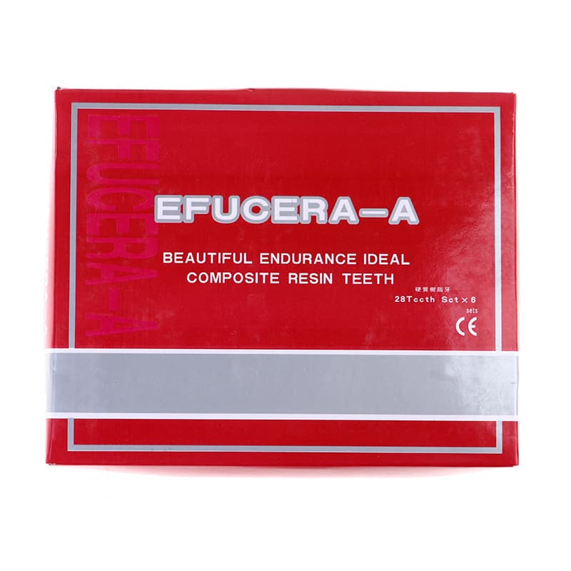 Dental Resin Teeth Set for Teaching Mold, Practice Dentures for Students, Plastic Teeth Model for Cross-Border Sales