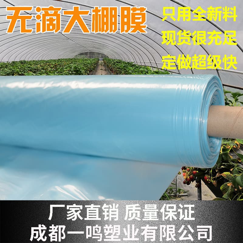 Factory Direct Custom Agricultural Co-extruded EVA Greenhouse Film, Transparent Non-Drip Plastic Sheeting