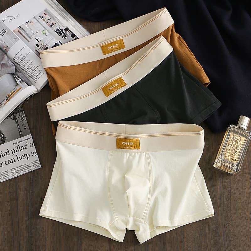 Men's Underwear Fine Cotton Fashion Men's Boxer Briefs, Teen Shorts Four Seasons Style