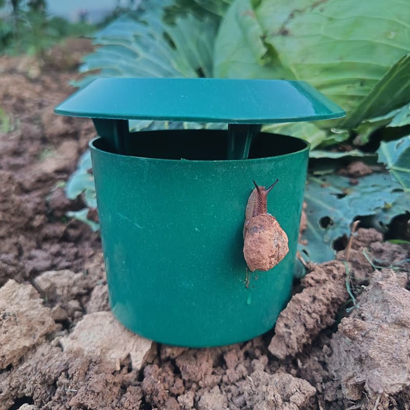 TEMU Snail Trap Garden Slug Trap for Vegetable Garden Snail Catcher