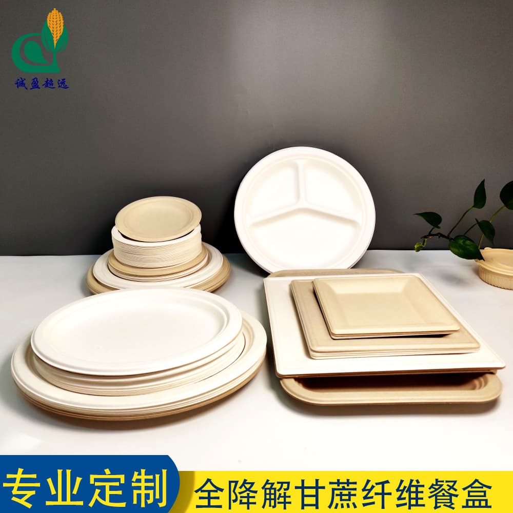 Custom-Made Disposable Sugarcane Pulp Plates, Compostable BBQ Dishes, Factory-Direct Customized Disposable Grill Pans