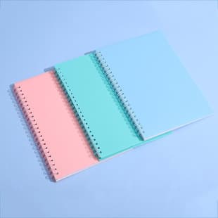 Cross-border Morandi Color Coil Notebook A5 Frosted PP Notebook Minimalist Lined Journal Wholesale