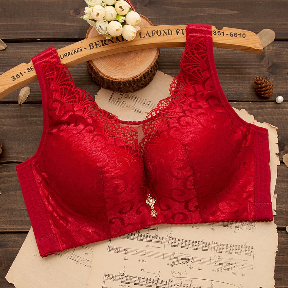 Factory Spot Splendid Nianhua Women's Vest Style Plus Size Lace Traditional Bra Adjustable Bra