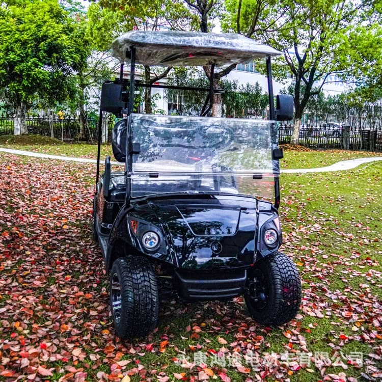 Yamaha 2-4 person electric sightseeing golf cart for golf courses
